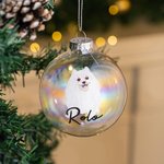 Henkilökohtainen käsin piirretty kissa koira lemmikki muotokuva joulu lasi lamppu koriste nimellä joulukuusi sisustus festivaali puolue lahja lemmikki