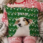 Housse de Coussin Personnalisée avec Portrait d'Animal et Nom Style Guirlande Lumineuse Cadeau Festival Noël pour Amoureux de Chien Chat