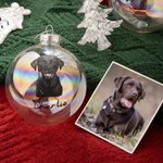 Henkilökohtainen käsin piirretty kissa koira lemmikki muotokuva joulu lasi lamppu koriste nimellä joulukuusi sisustus festivaali puolue lahja lemmikki