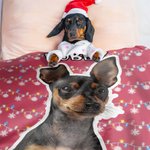 Personlig snöflinga färgade julbelysning Hund katt foto kasta filt med namn heminredning födelsedag julklapp för husdjursägare