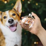 Henkilökohtainen käsin piirretty kissa koira lemmikki muotokuva joulu lasi lamppu koriste nimellä joulukuusi sisustus festivaali puolue lahja lemmikki