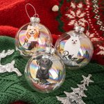 Henkilökohtainen käsin piirretty kissa koira lemmikki muotokuva joulu lasi lamppu koriste nimellä joulukuusi sisustus festivaali puolue lahja lemmikki
