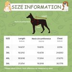 Personalized Multicolor Cute Paw 100% Cotton Dog Clothing with Name Birthday Commemorative Day Gift for Pet Lovers Owner