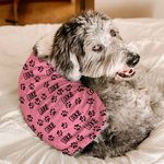 Personalized Multicolor Cute Paw 100% Cotton Dog Clothing with Name Birthday Commemorative Day Gift for Pet Lovers Owner