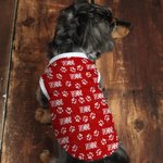 Personalized Multicolor Cute Paw 100% Cotton Dog Clothing with Name Birthday Commemorative Day Gift for Pet Lovers Owner