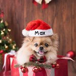 Personalisierte weiche und Plüsch Weihnachtsmütze mit Glitzer bestickt Name Stocking Stuffer Weihnachtsfeier Geschenk für Familie