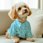 Personalised Multicolour Cute Paw Print Soft Dog Cat Shirt with Name Holiday Party Costume Birthday Gift for Pet Owners