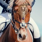 Gepersonaliseerd goud kant geboortesteen gezichtsplaat verstelbare wenkbrauwband Middeleeuws paard accessoires Verjaardag ruiter Cadeau voor paardenliefhebber Dressuur ruiter