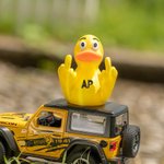 Personalized 3D Print Double Middle Finger Duck with Text Tabletop Decoration Funny Jeep Accessory White Elephant Gift for Friend Colleague