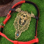 Gepersonaliseerd goud kant geboortesteen gezichtsplaat verstelbare wenkbrauwband Middeleeuws paard accessoires Verjaardag ruiter Cadeau voor paardenliefhebber Dressuur ruiter