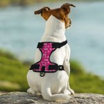 Gilet riflettente regolabile personalizzato Multicolore Cute Paw Dog con nome Regalo di compleanno per gli amanti degli animali domestici