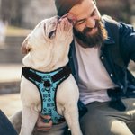 Gilet riflettente regolabile personalizzato Multicolore Cute Paw Dog con nome Regalo di compleanno per gli amanti degli animali domestici