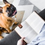 Marque-page Magnétique en Cuir Personnalisé avec Nom et Motif d'Animal de Compagnie Cadeau Anniversaire pour Amoureux de Lecture