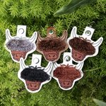 Personalised Embroidery Multicolor Fringe Bangs Highland Cow Leather Keychain with Name Birthday Gift for Highland Cow Lovers