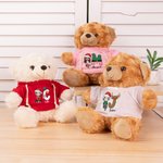 Personalized Cute Cartoon Character T-shirt Hoodie Plush Stuffed Teddy Bear with Santa Elf Initial and Name Christmas Party Toy Birthday Gift for Kids