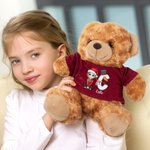 Personalized Cute Cartoon Character T-shirt Hoodie Plush Stuffed Teddy Bear with Santa Elf Initial and Name Christmas Party Toy Birthday Gift for Kids