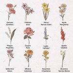 Borsa Portatile di Stoccaggio Personalizzata Fiore di Nascita con Nome e Cintura di Isolamento Accessori di Viaggio Regalo