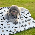 Personlig söt tassben husdjursfilt med namn födelsedagspresent för katt hundälskare