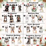 Ornamento natalizio personalizzato per cani in stile Merry Woofmas disegnato a mano con nome e cordino Regalo di Natale per gli amanti degli animali domestici