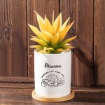 Personalized Inspiring Floral Ceramic Succulent Plant Pot with Name and Bamboo Base Graduation Appreciation Gift for Teacher