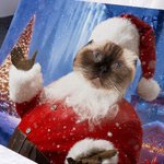 Personligt Roligt juldjur med tomteluva Porträtt Canvas Ramlös målning Semestergåva för hundkattälskare