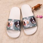 Pantofole personalizzate con foto di cani e gatti con icona e nome per chi ama gli animali.
