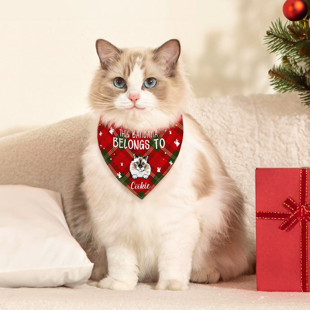 Bandana réglable pour chien et chat avec nom Cadeau d'anniversaire pour les propriétaires d'animaux de compagnie