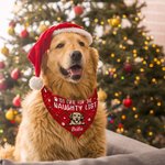 Personalised Christmas Plaid Cartoon Naughty Pet Avatar Adjustable Dog Cat Bandana with Name Birthday Holiday Party Costume Gift for Pet Owners
