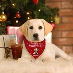 Personalised Christmas Plaid Cartoon Naughty Pet Avatar Adjustable Dog Cat Bandana with Name Birthday Holiday Party Costume Gift for Pet Owners