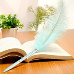 Set di 2 Penne a Sfera Personalizzate in Piuma di Struzzo Colorata con Testo Inciso Regalo di Compleanno per Amanti della Scrittura