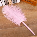 Set di 2 Penne a Sfera Personalizzate in Piuma di Struzzo Colorata con Testo Inciso Regalo di Compleanno per Amanti della Scrittura