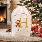 Gepersonaliseerde speciale levering kerst thema dier patroon koord Canvas Gift Bag met naam kerstcadeau voor Kid