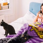 Couverture douce personnalisée avec nom et nom de famille pour chien, chat et animal de compagnie.