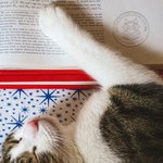 Personalisierter Niedlicher Tier beim Lesen Buchpräger mit Text Namen Hund Katze Prägestempel Weihnachten Geburtstag Geschenk für Buchliebhaber