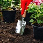 Personalized Set of 4 Stainless Steel Garden Tools with Engraved Text Wooden Handle Mother’s Day Father’s Day Gift for Gardeners