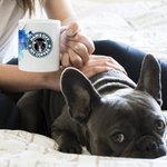 Personalized Colourful Starbarks Logo Design 11oz Ceramic Mug with Pet Photo and Name Birthday Gift for Dog Cat Pet Lovers