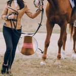 Bandes d'Identification Personnalisées avec Numéro et Texte Brodés pour Pâturon de Cheval Multicolores Cadeau de Vacances pour Amoureux des Chevaux