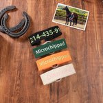 Bandes d'Identification Personnalisées avec Numéro et Texte Brodés pour Pâturon de Cheval Multicolores Cadeau de Vacances pour Amoureux des Chevaux