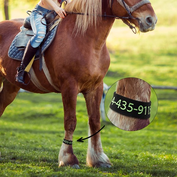 Personalised Multi-color Horse Ankle Pastern ID Band with Embroidered Number and Text Holiday Gift for Horse Lovers