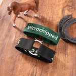 Bandes d'Identification Personnalisées avec Numéro et Texte Brodés pour Pâturon de Cheval Multicolores Cadeau de Vacances pour Amoureux des Chevaux