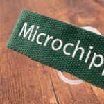 Bandes d'Identification Personnalisées avec Numéro et Texte Brodés pour Pâturon de Cheval Multicolores Cadeau de Vacances pour Amoureux des Chevaux