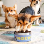 Personalised Pet Photo Food-grade Stainless Steel Non-slip Dog Cat Bowl Water Dish with Name Pet Feeding Supplies Birthday Gift for Pet Owners