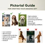 Personalised Pet Photo Food-grade Stainless Steel Non-slip Dog Cat Bowl Water Dish with Name Pet Feeding Supplies Birthday Gift for Pet Owners