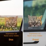 Autocollant pour Voiture Personnalisé avec Photo de l'Animal qui Regarde Décor Mignon avec Nom à Choix Cadeau pour Amoureux d'Animal de Compagnie
