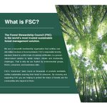 Gepersonaliseerde Gegraveerde Werelds Beste Oma Meerdere Data FSC Bamboe Charcuterie Snijplank met Sapgroef Housewarming Huwelijkscadeau voor Familie