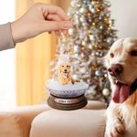 Personalized Snowglobe Design Christmas Ornament with Photo Christmas Tree Decor Gift for Family