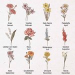 Gepersonaliseerde Opbergtas voor Verwarmingsstaaf met Geboorte Bloem en Naam Ideale Reisaccessoire en Verjaardagscadeau voor Vrouwen