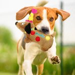 Personalized Birthday Hat Polka Dots Dachshund Dog Doll Toy with Name Home Decor Birthday Party Gift for Dog Lover