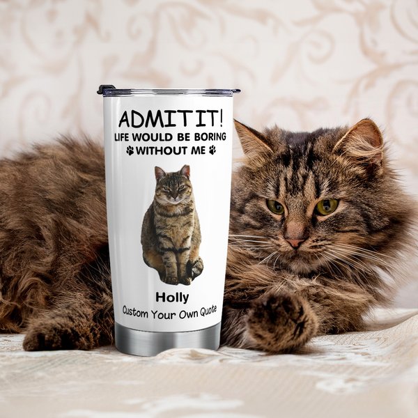 Personalized Life Would Be Boring Without Me 1-4 Pet Photos Names 20oz Insulated Tumbler with Lid and Straw Birthday Gift for Pet Owners
