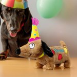 Personalized Birthday Hat Polka Dots Dachshund Dog Doll Toy with Name Home Decor Birthday Party Gift for Dog Lover